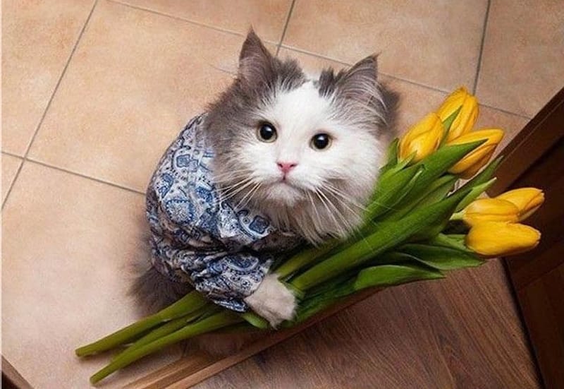 з днем народження чоловіку від дружини