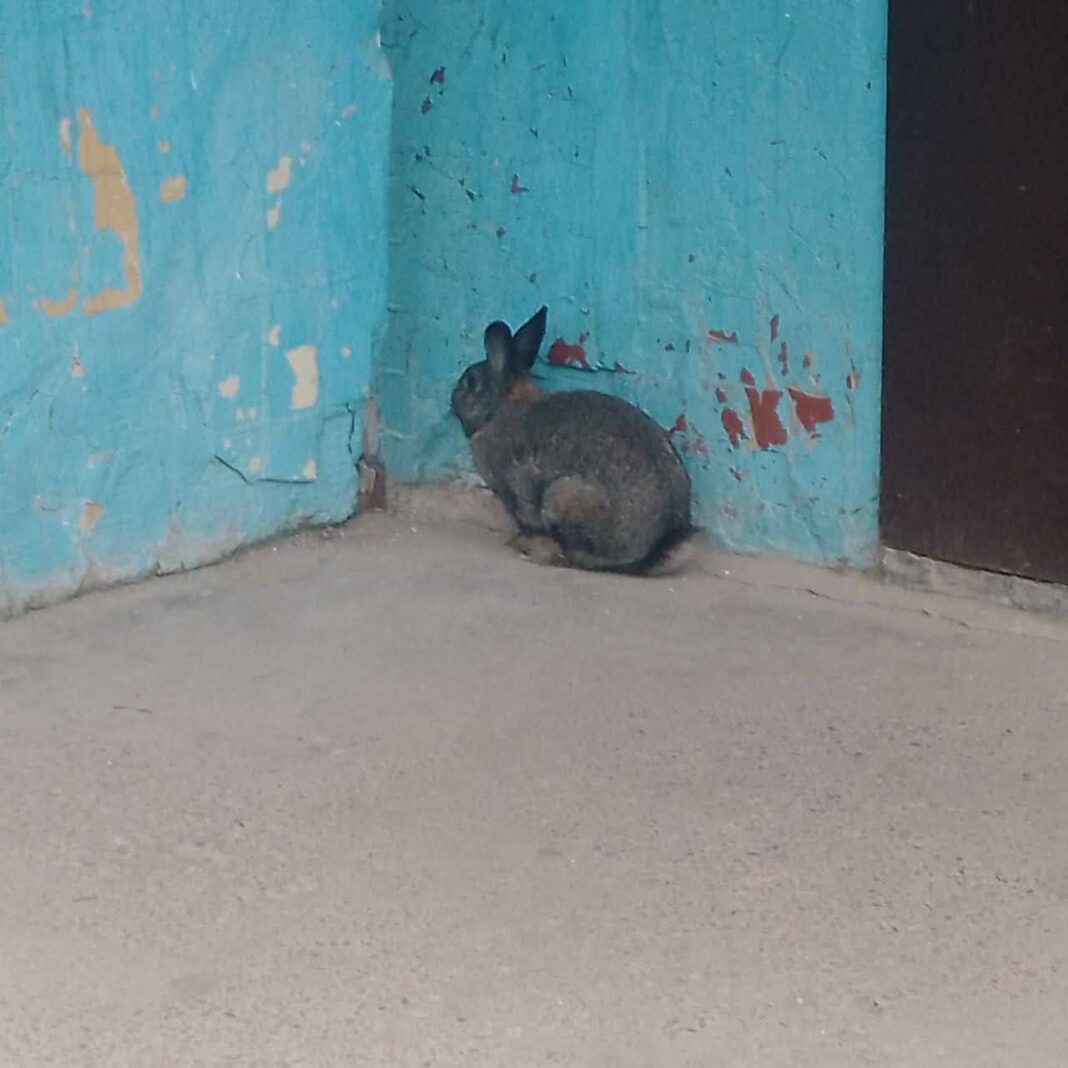 photo_2025-06-23_11-32-13