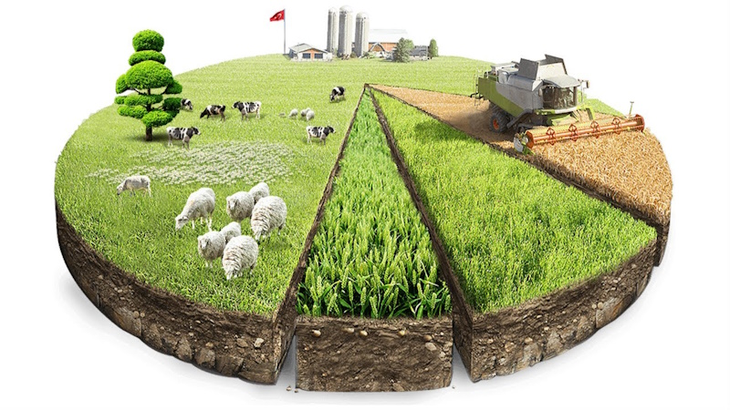 Приватизация земли